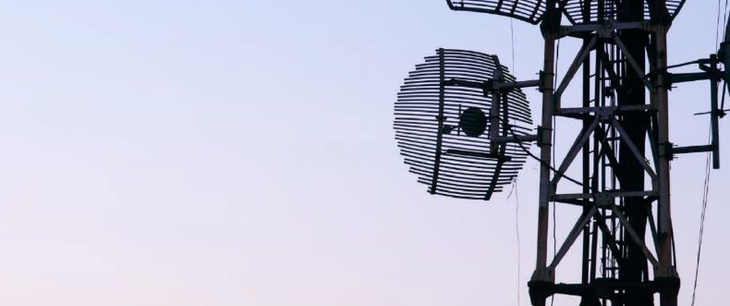 Telecommunications Risk Factor Survey