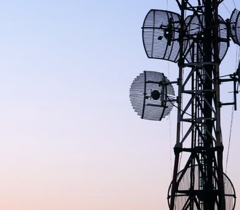 Telecommunications Risk Factor Survey
